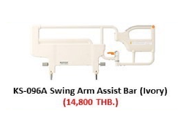 Paramount-Swing Arm Assistant Bar