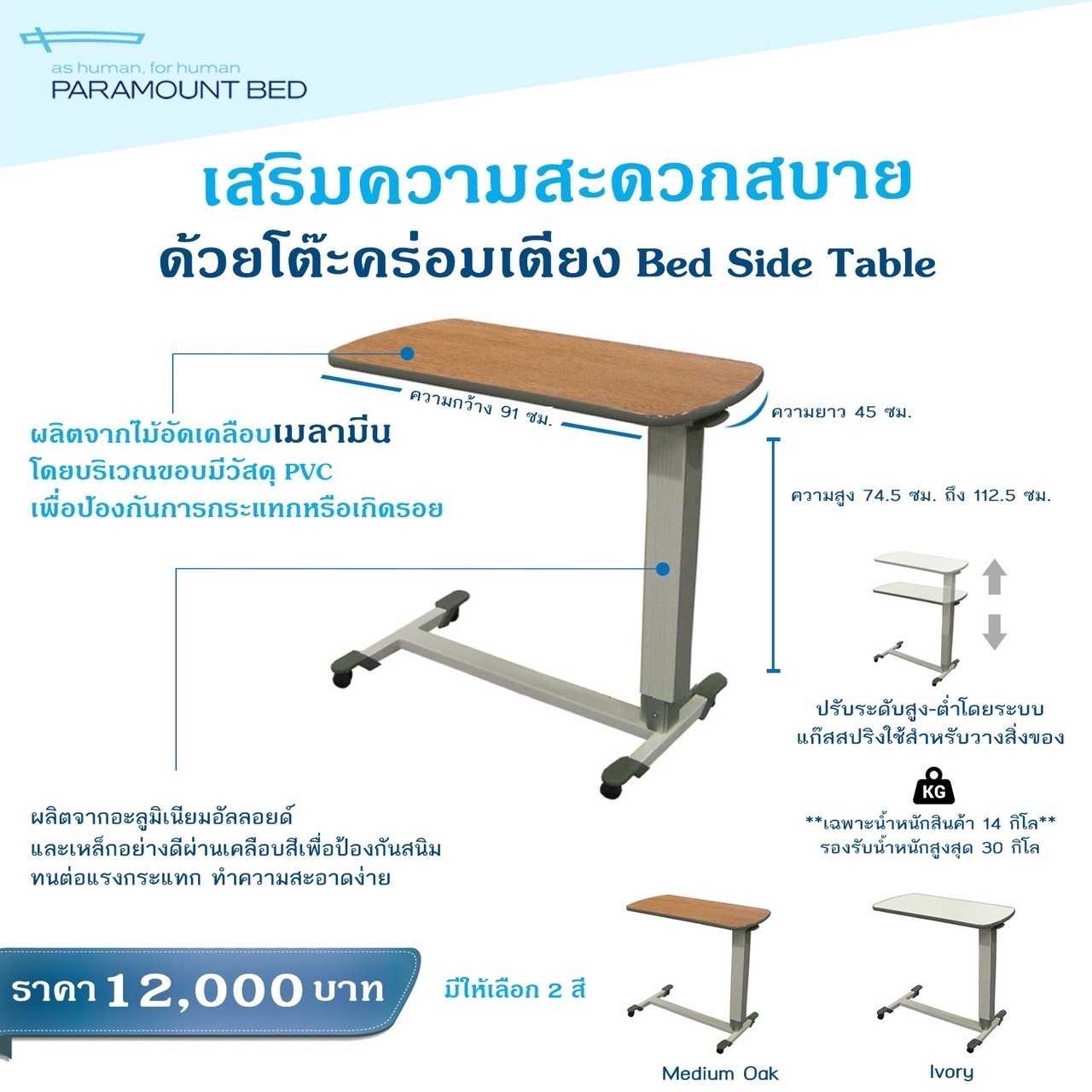 Paramount-Overbed ลายไม้ PF-3100AC