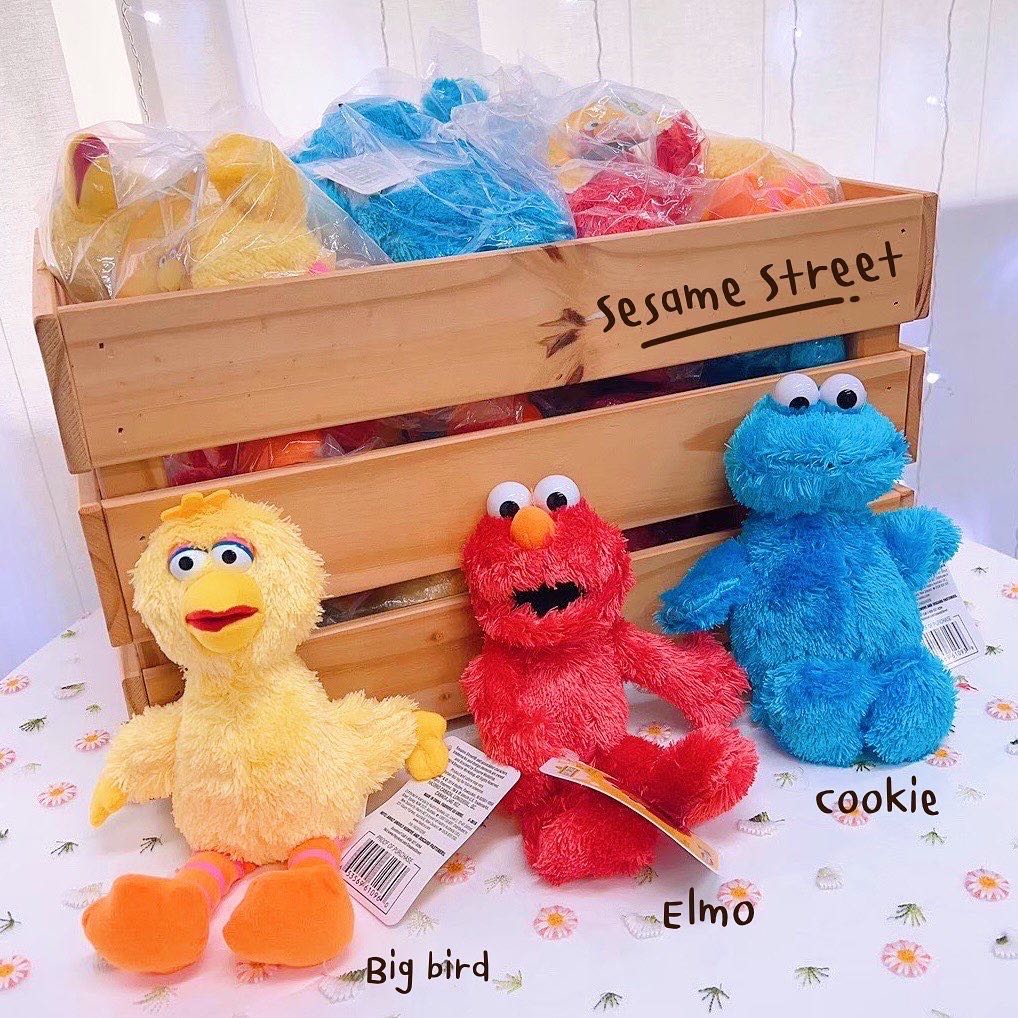 Sesame Street 💛❤️💙