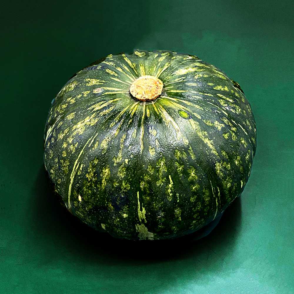 ฟักทองญี่ปุ่น Japanese Pumpkin /Pc.