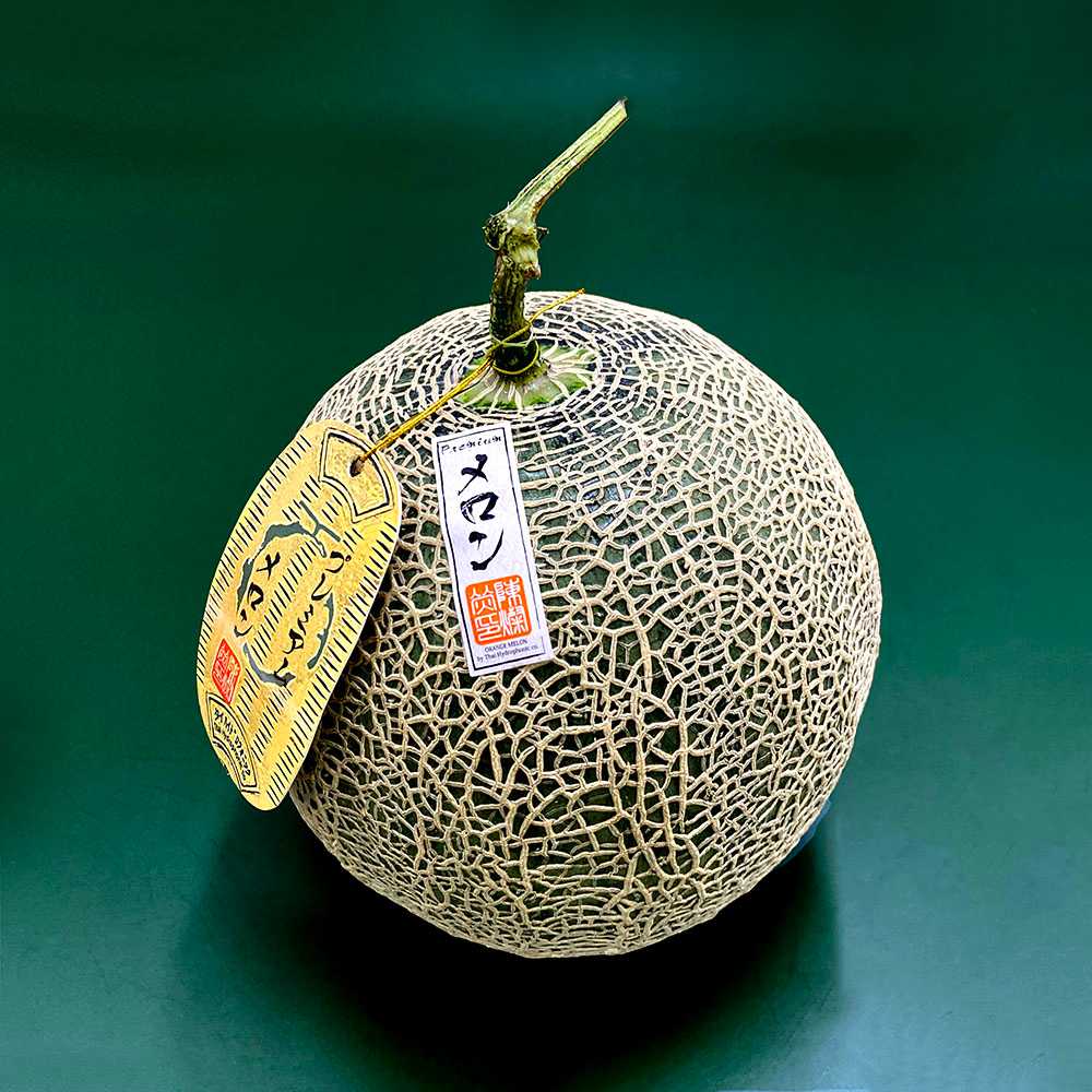 เมล่อนญี่ปุ่น Japanese Melon /Pc.