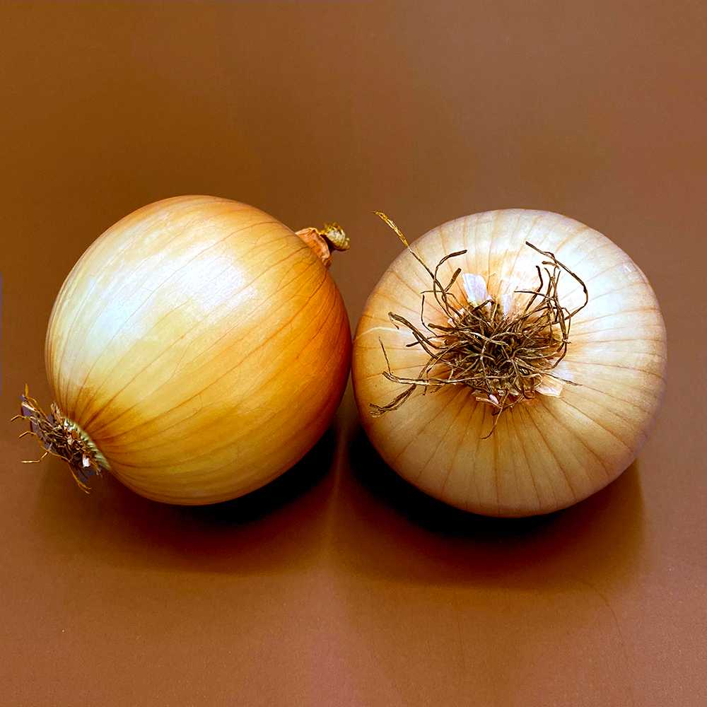 หอมใหญ่ O Onion /2pcs.