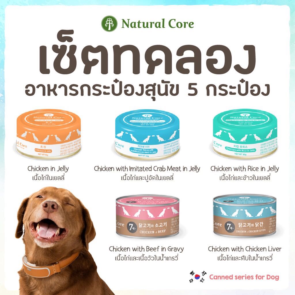 เซ็ตทดลอง อาหารกระป๋องสุนัข 5 กระป๋อง