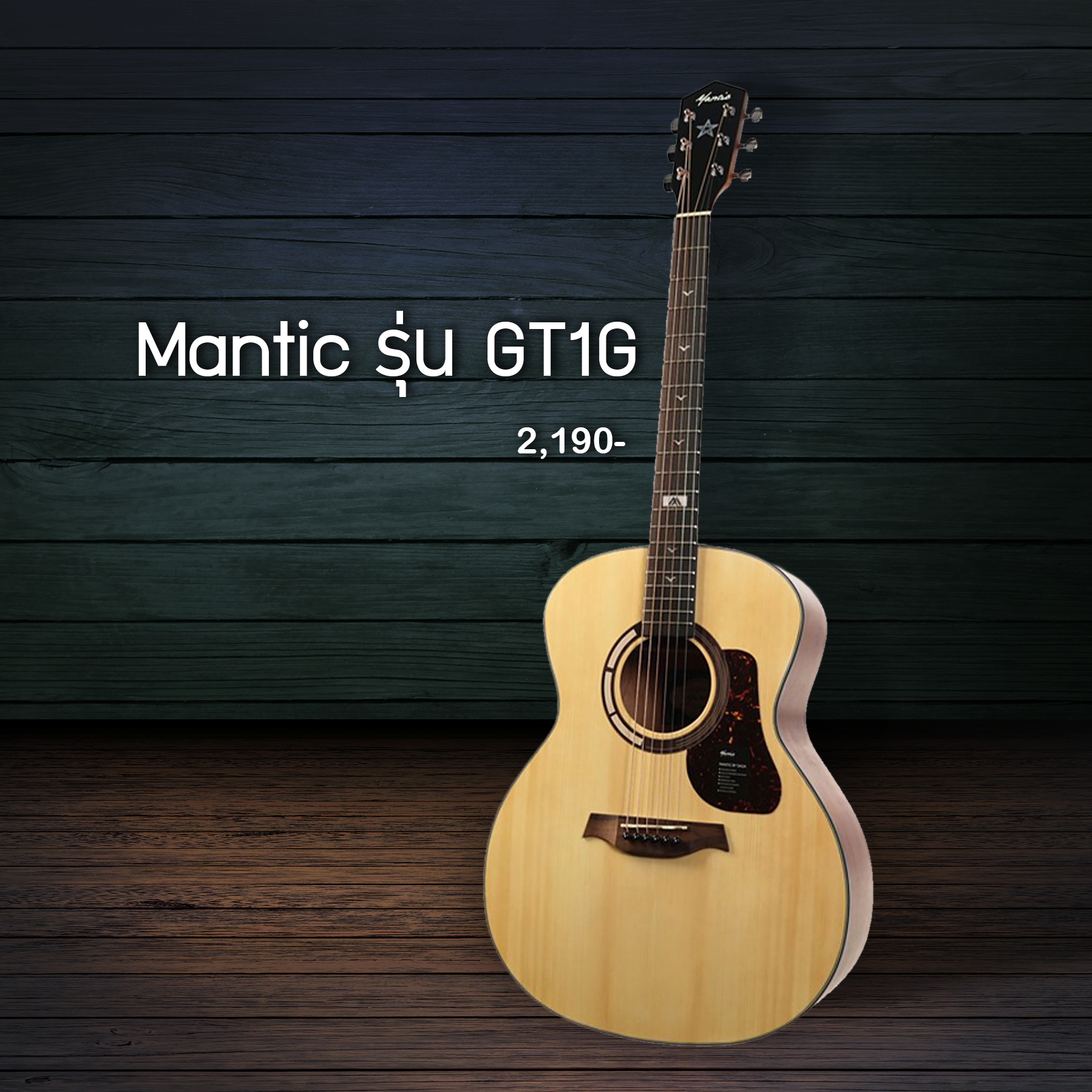 กีตาร์ Mantic GT-1G