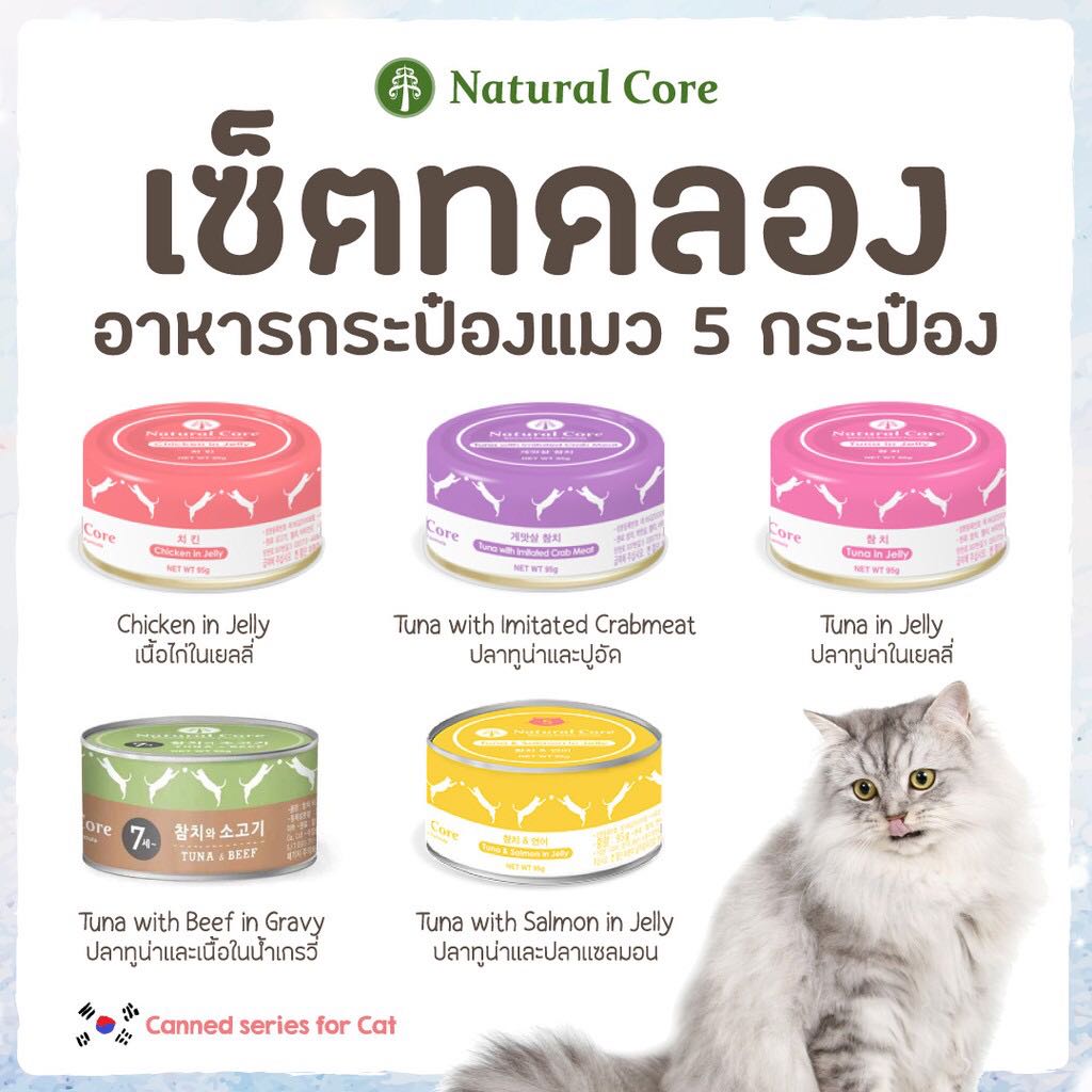 เช็ตทดลอง อาหารกระป๋องแมว 5 กระป๋อง 