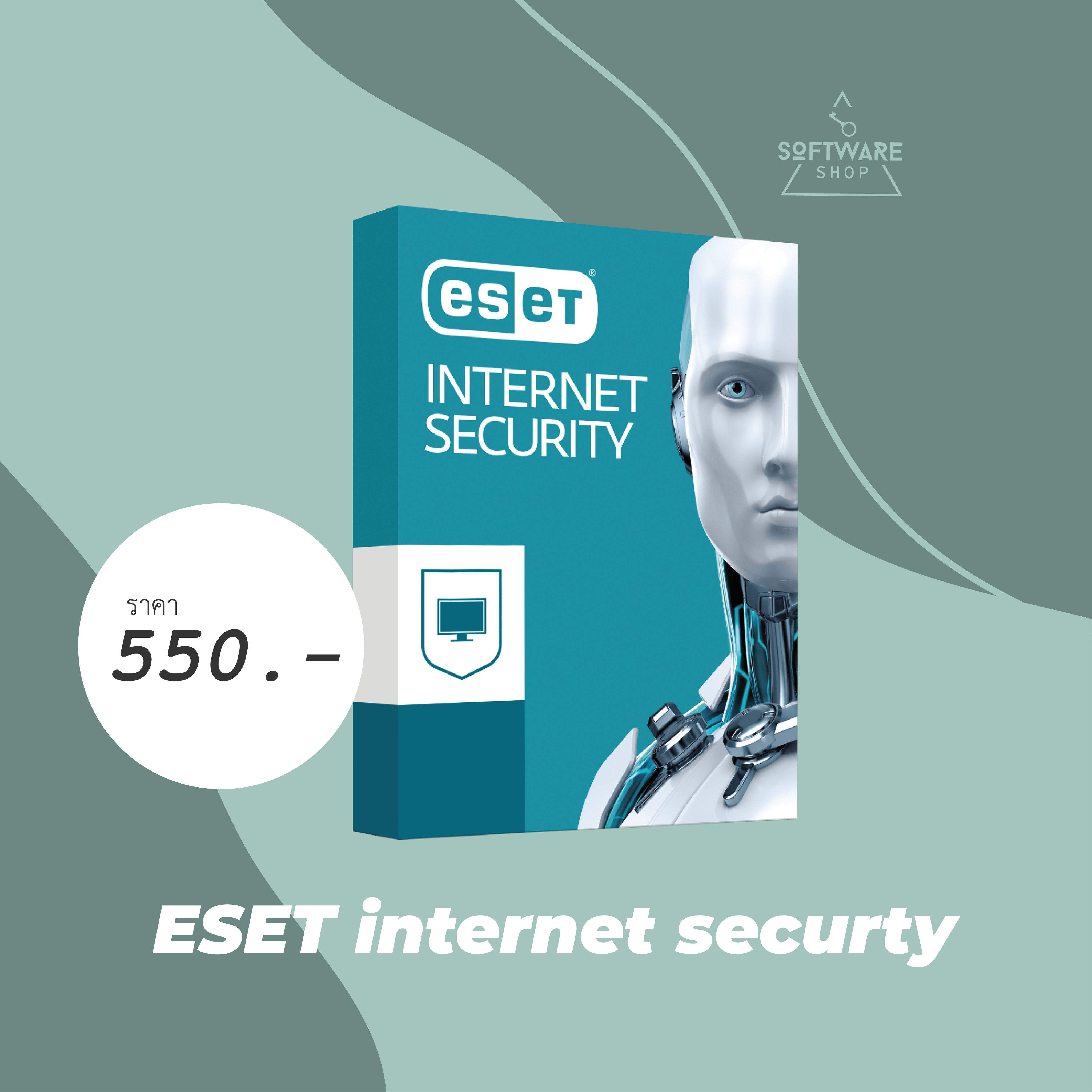 ESET internet security