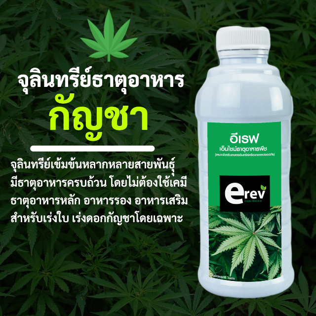 จุลินทรีย์ธาตุอาหาร สูตรกัญชา ขนาด 1 ลิตร