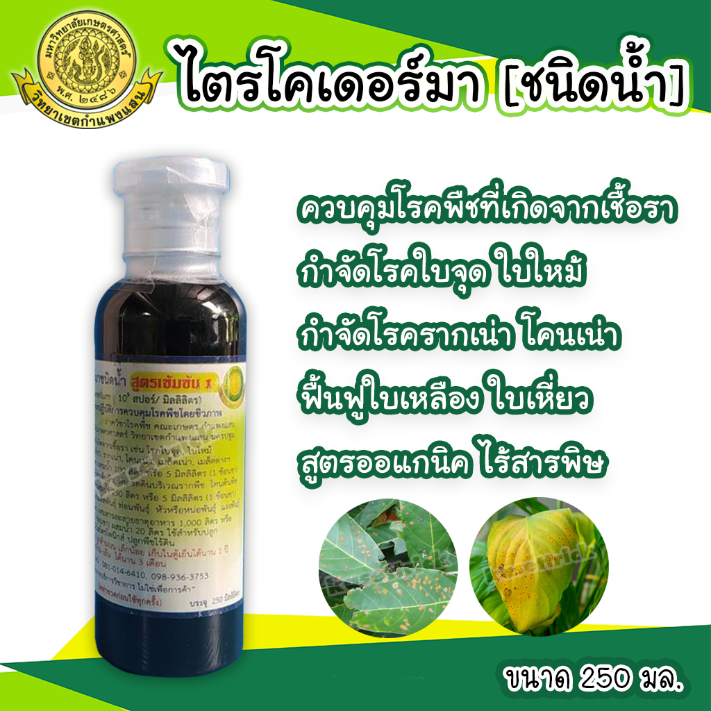 เชื้อราไตรโคเดอร์มา ชนิดน้ำ 250 มล