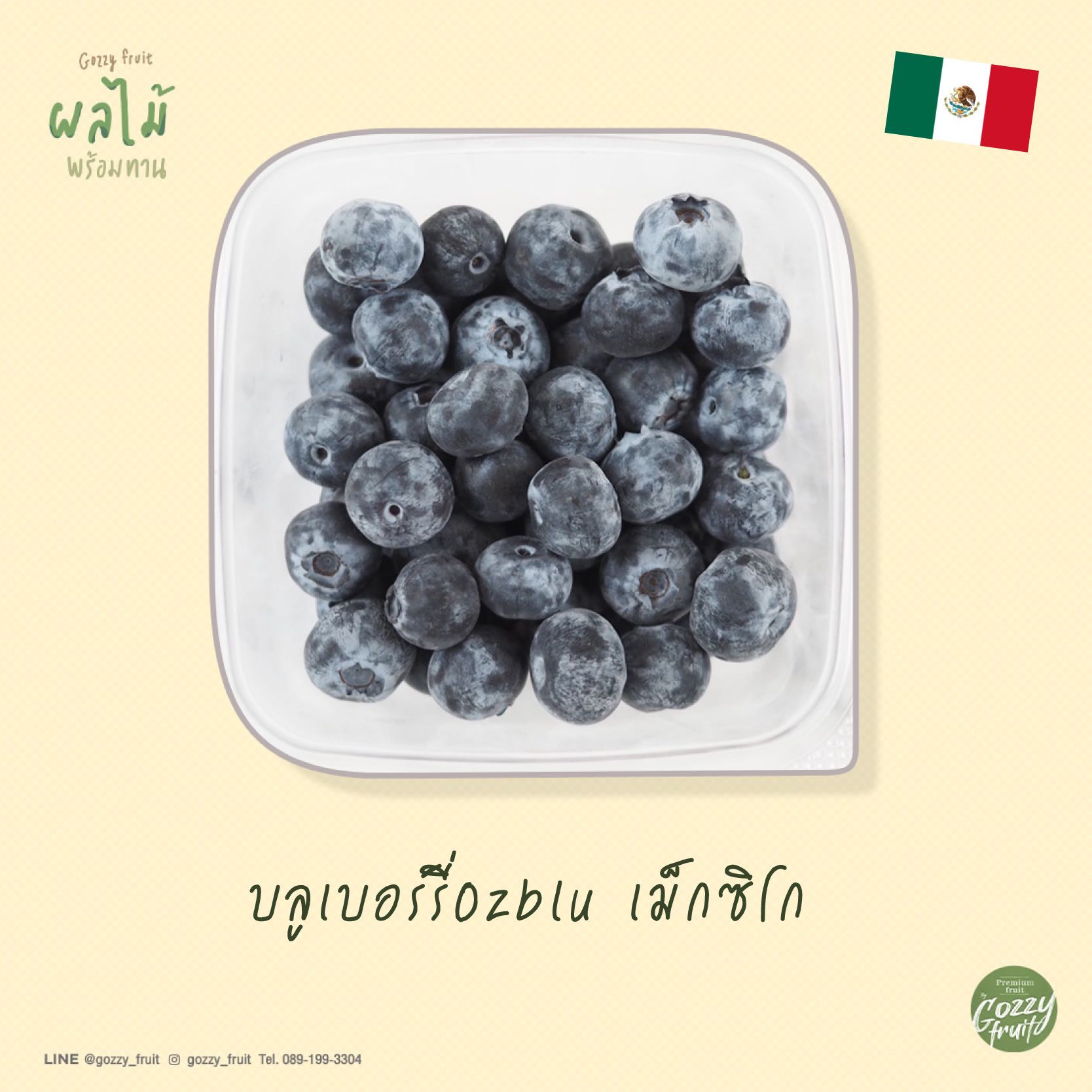 บลูเบอร์รีพร้อมทาน ยอดนิยม