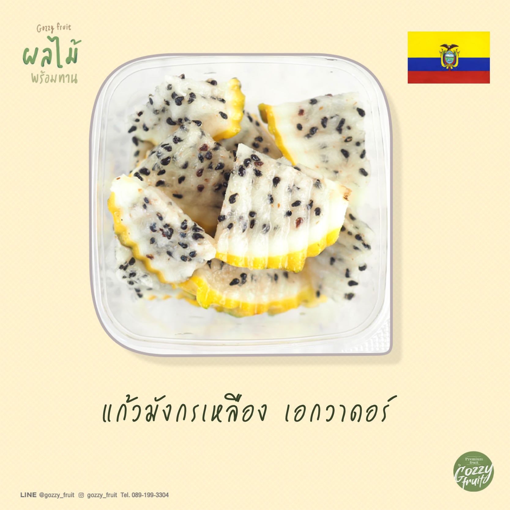 แก้วมังกรเหลืองเอกวาดอร์พร้อมทาน กินเพลิน
