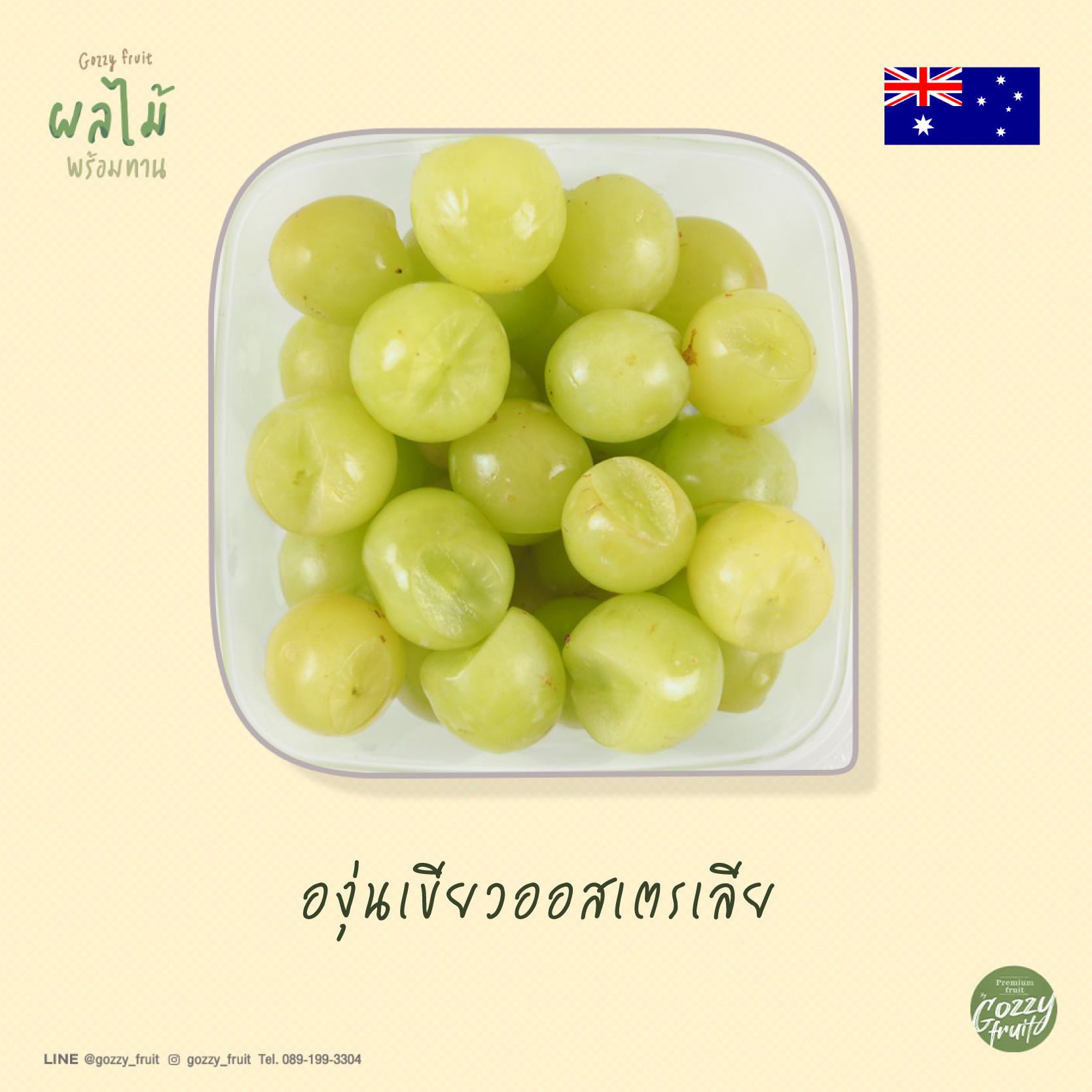 องุ่นเขียวไร้เมล็ดพร้อมทาน ยอดนิยม