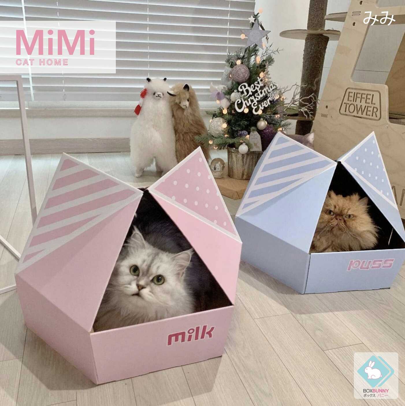 🏠🐱 Mimi บ้านแมวรูปทรงหน้าแมว 3D สุดเก๋ 🐱🏠 (แถมของเล่น + แคทนิป)
