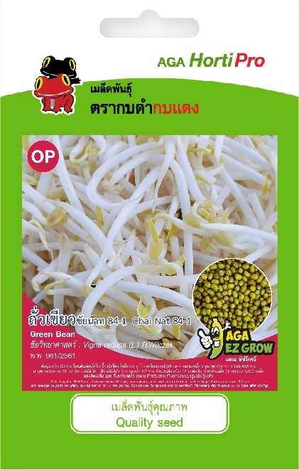 ☘️ถั่วเขียว ชัยนาท 84-1