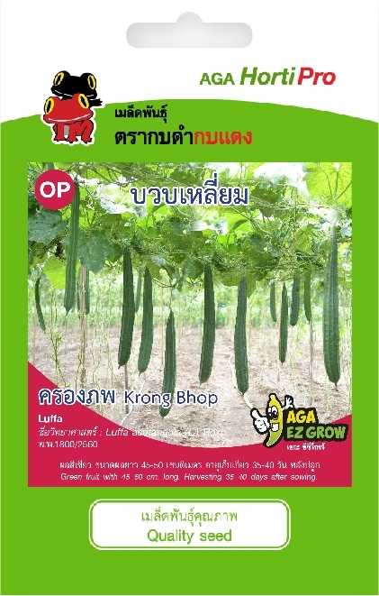 ☘️บวบเหลี่ยม ครองภพ