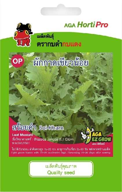 ☘️ผักกาดเขียวน้อย สร้อยคำ