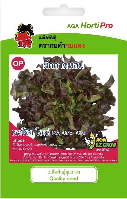 ☘️ผักกาดหอม เรดโอ๊ค โอเล่