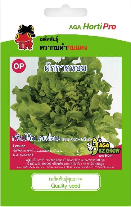 ☘️ผักกาดหอม กรีนโอ๊ค เลม่อน