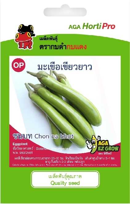 🍆มะเขือยาวเขียว ชนบท