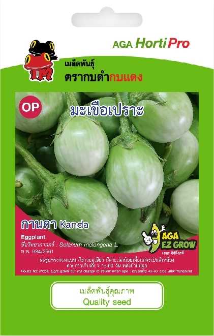 ☘️มะเขือเปราะ กานดา