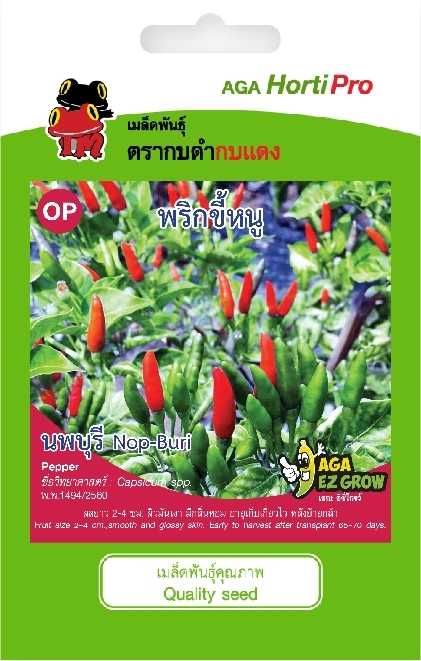 🌶พริกขี้หนูสวน นพบุรี