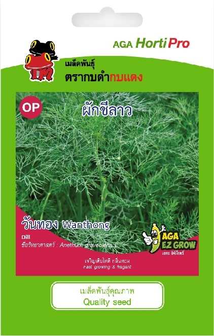 ☘️ผักชีลาว วันทอง