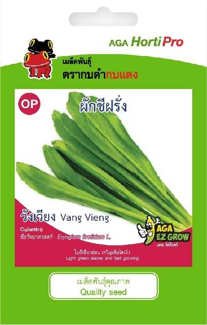 ☘️ผักชีฝรั่ง วังเวียง
