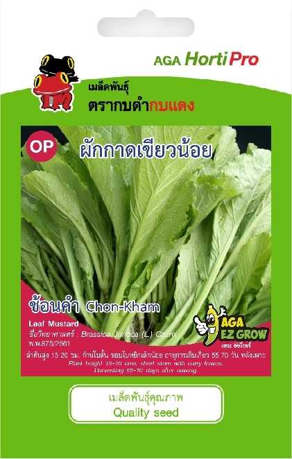 🥬ผักกาดเขียวน้อย ช้อนคำ