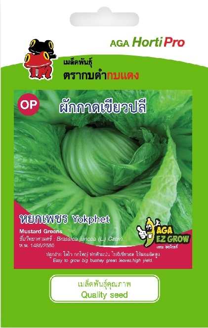 🥬 ผักกาดเขียวปลี หยกเพชร