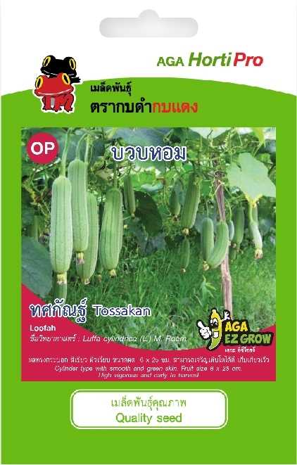☘️บวบหอม ทศกัณฑ์