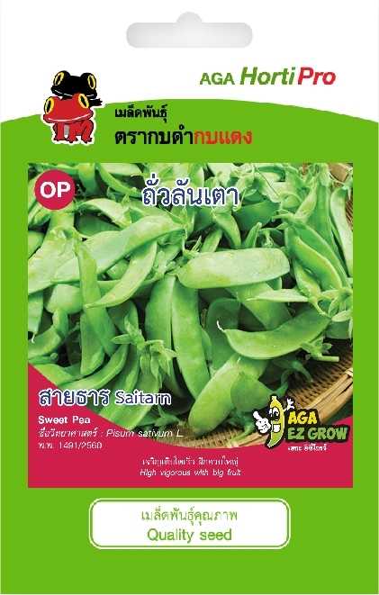 ☘️ถั่วลันเตา สายธาร