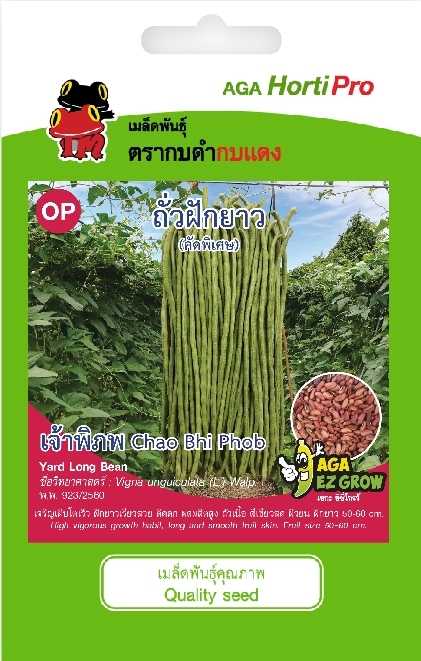 ☘️ถั่วฝักยาว เจ้าพิภพ