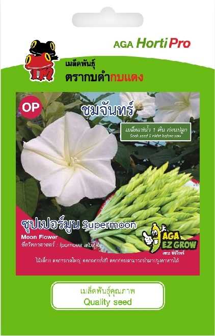 ☘️ชมจันทร์ ซุปเปอร์มูน
