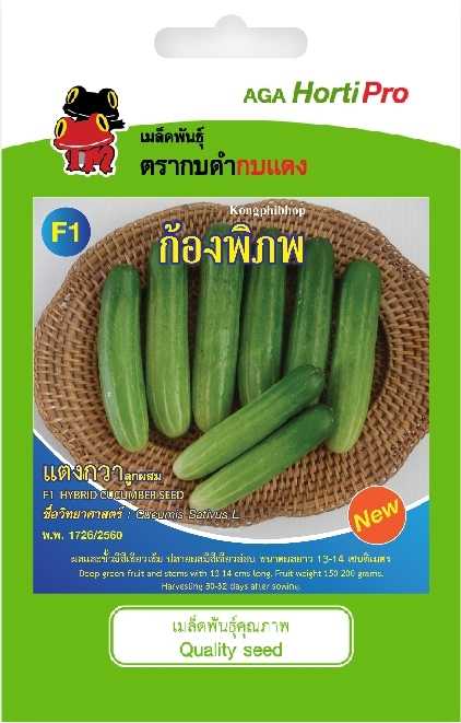 🥒แตงกวา ก้องพิภพ