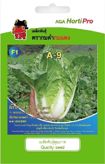 🥬 ผักกาดขาวปลี A9