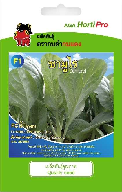 🥬 คะน้า ซามูไร