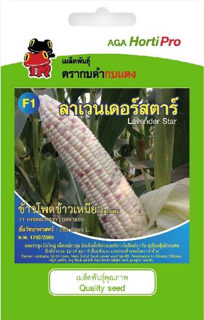 🌽ข้าวโพดข้าวเหนียว ลาเวนเดอร์สตาร์