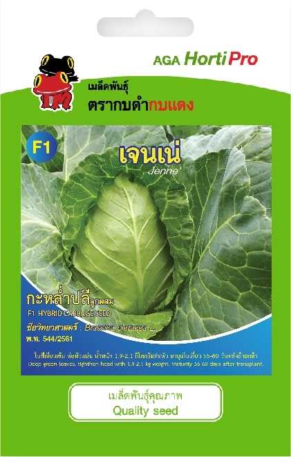 🥬 กะหล่ำปลีหัวใจ เจนเน่