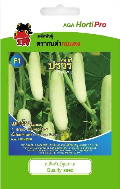 🥒แตงร้านขาว ปรวีร์