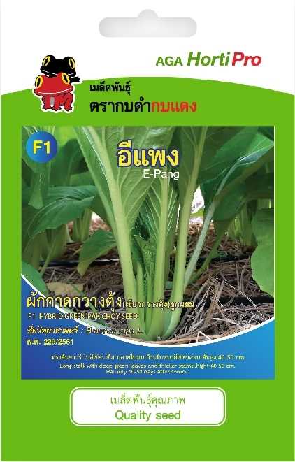🥬ผักกาดกวางตุ้ง เขียวกวางตุ้ง อีแพง