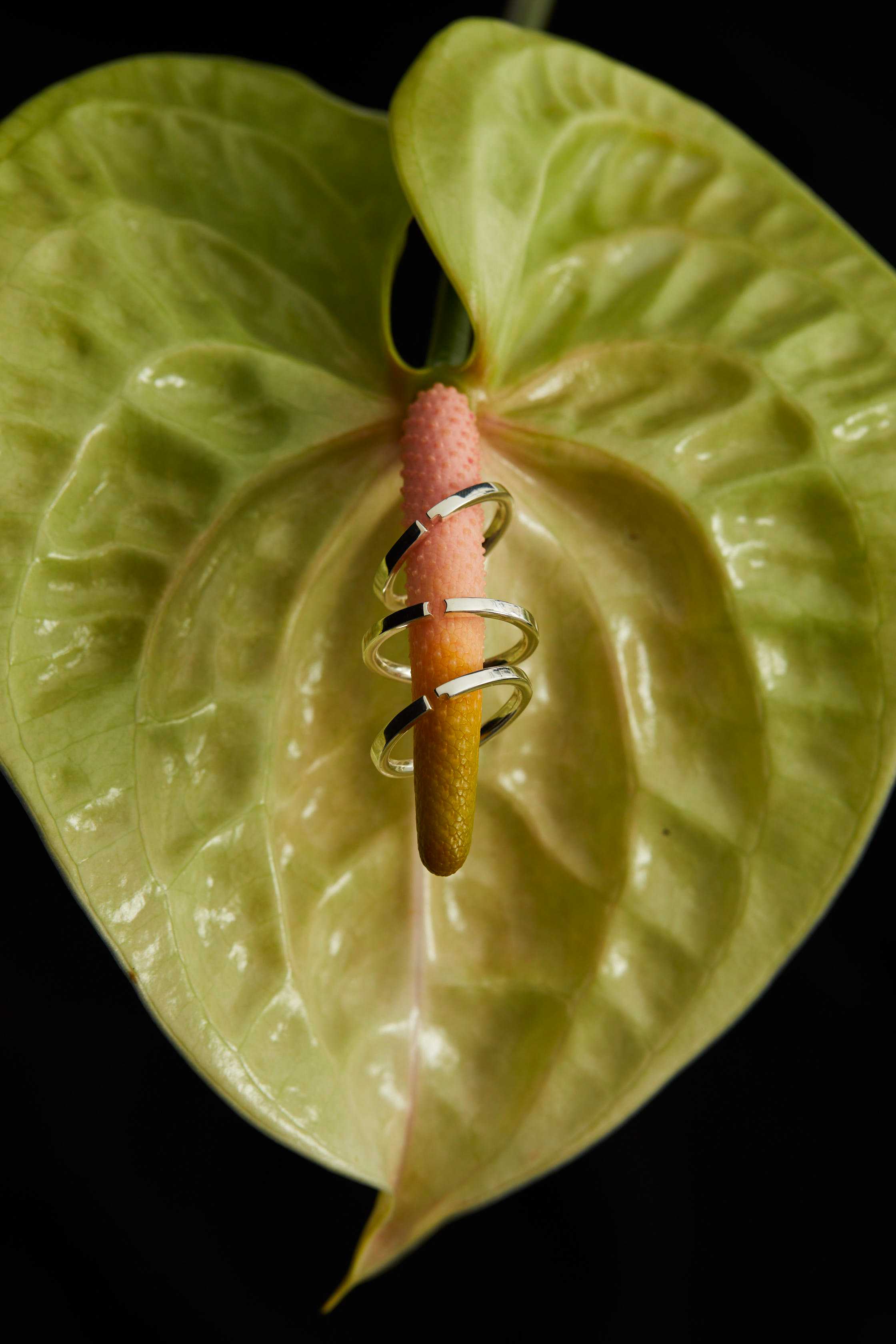 Opening Sale - LOL Letter Combination