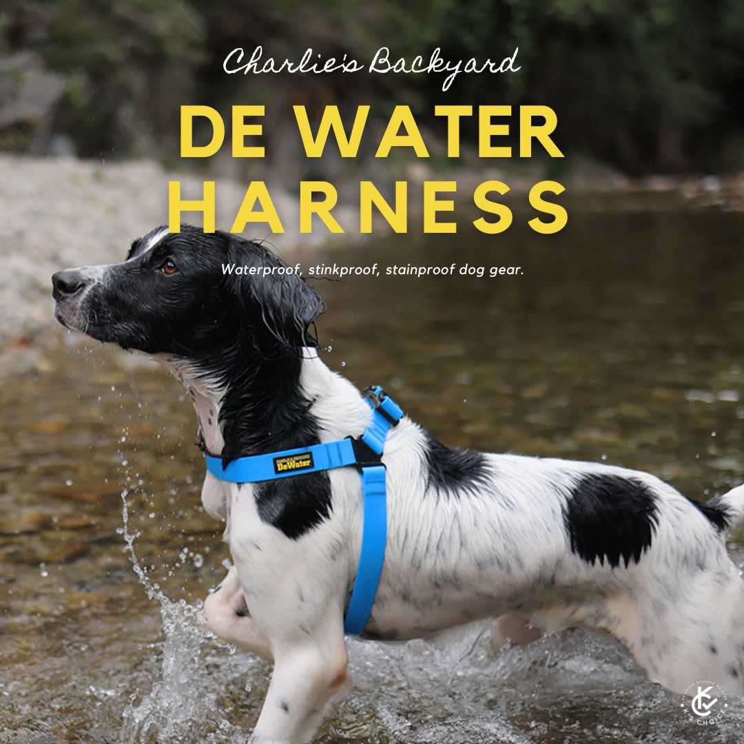 Charlie's Backyard DeWater HARNESS/ BLUE