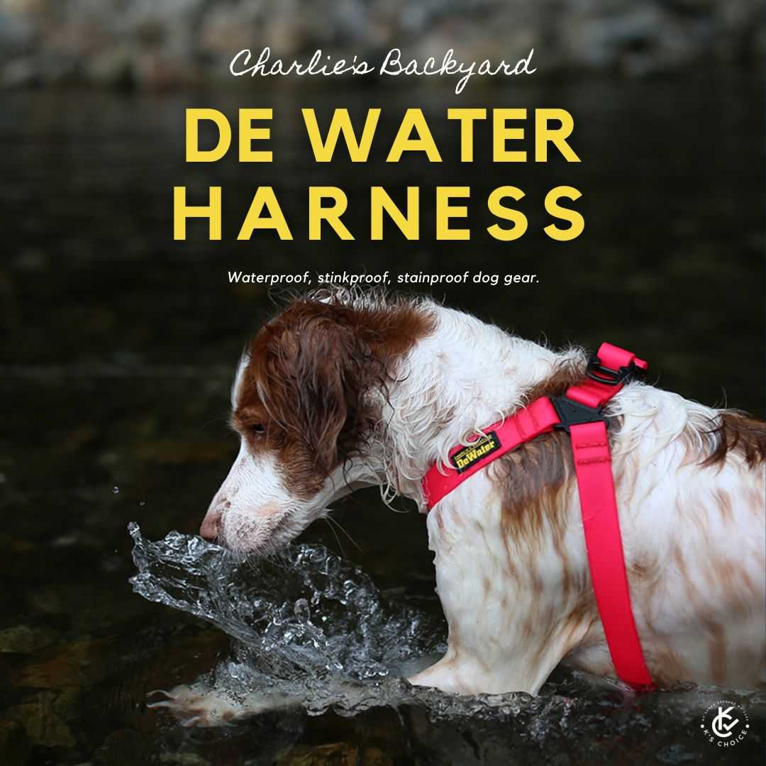 Charlie's Backyard DeWater HARNESS/ PINK