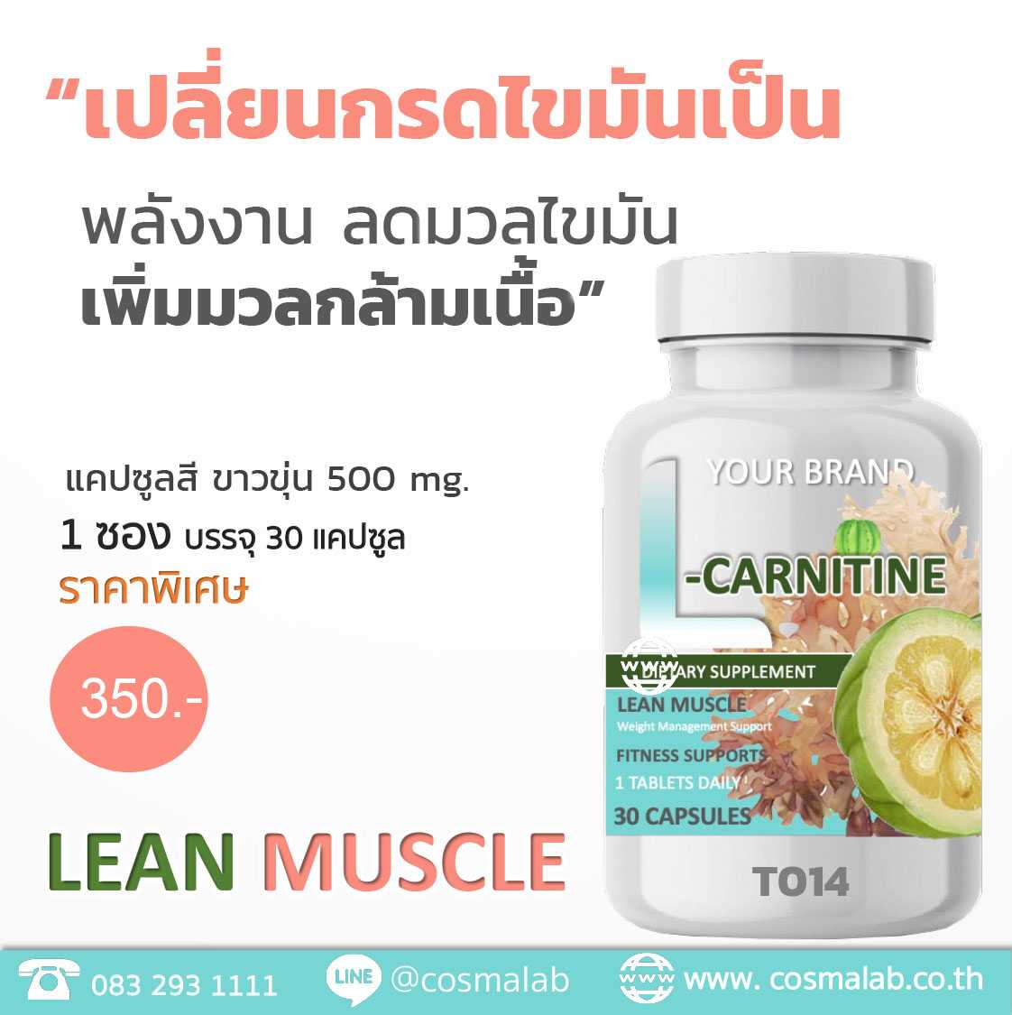 L-carnitine tester