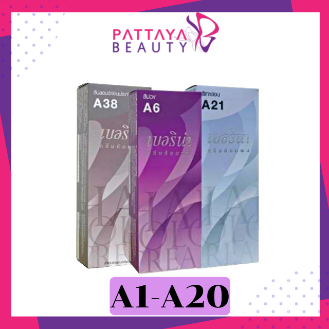 สีผมเบอริน่า A1-A20