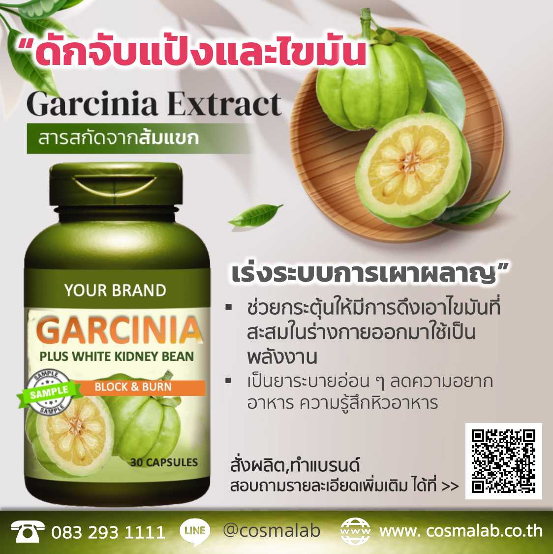 Garcinia Plus White Kidney Bean Tester