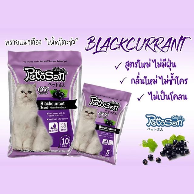 PettoSan กลิ่น Blackcurrant 5L