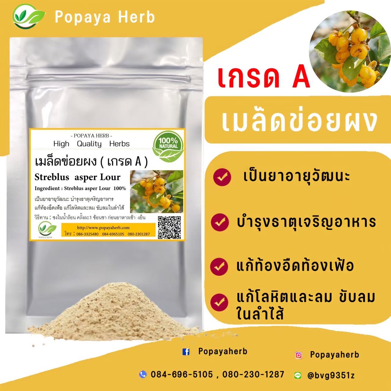 ผง เมล็ดข่อย