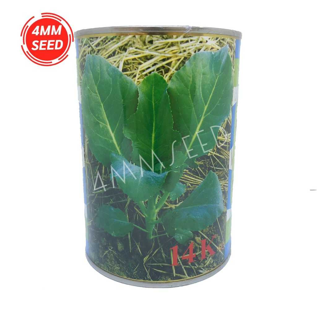 คะน้ายอด 14K 500 กรัม