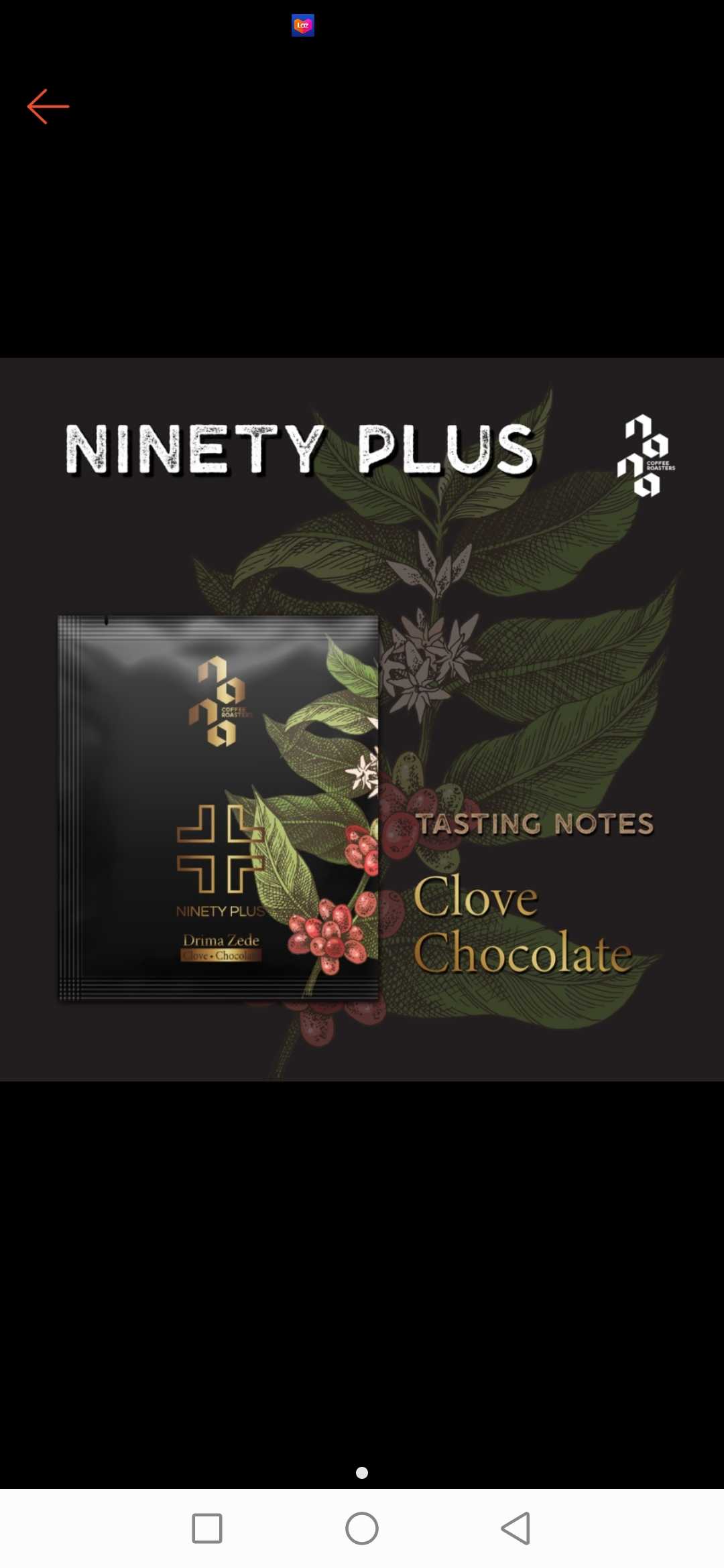  Nana Coffee Roasters กาแฟ drip bag คั่วอ่อน - Ninty Plus