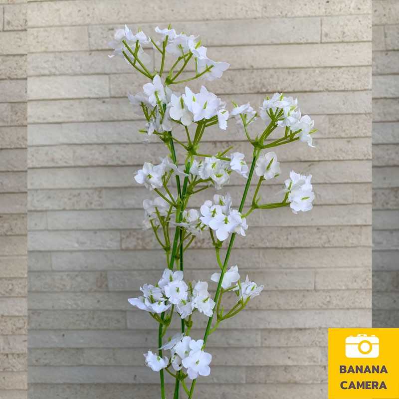 Banana Camera ดอกไม้ปลอม ดอกไม้สีขาว พร็อพ พร็อพถ่ายรูป พร็อพ ประกอบฉาก Flower